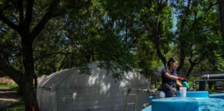 Empowering Women Water Harvesters in Mexico City to Combat Drought and Unreliable Public Water System news-04082024-055130