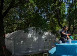 Empowering Women Water Harvesters in Mexico City to Combat Drought and Unreliable Public Water System news-04082024-055130