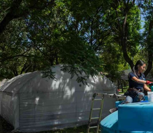 Empowering Women Water Harvesters in Mexico City to Combat Drought and Unreliable Public Water System news-04082024-055130