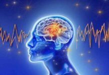 Unlocking Faster Dementia Diagnoses Using AI and Brain Waves news-05082024-165157