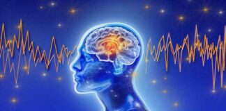 Unlocking Faster Dementia Diagnoses Using AI and Brain Waves news-05082024-165157