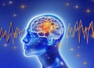 Unlocking Faster Dementia Diagnoses Using AI and Brain Waves news-05082024-165157