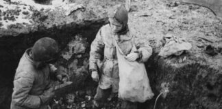 The Impact of Famine in the Womb on Adult Health news-08082024-223022