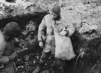 The Impact of Famine in the Womb on Adult Health news-08082024-223022