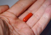 FDA’s Rejection of MDMA Therapy for PTSD: Impact on Psychedelic Medicine news-10082024-103658