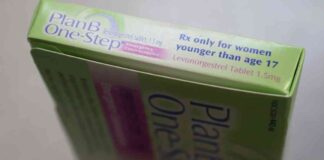 Psychedelic Medicine: Navigating ‘Plan B’ with Insights from Reproductive Health news-12082024-010625