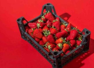 Is Volume Eating Safe for Weight Loss? Expert Opinions and Risks Explained news-13082024-015004