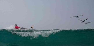 Para-surfing Advocates Push for Inclusion in Paralympics Los Angeles 2028 news-13082024-135721