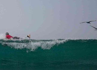 Para-surfing Advocates Push for Inclusion in Paralympics Los Angeles 2028 news-13082024-135721