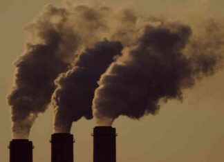 Combating Climate Washing: HHS’s Efforts Against Climate Change news-15082024-140004