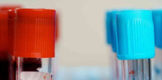 Improving Inclusion in Clinical Trials for Disabled Americans: Report Findings and Recommendations news-16082024-022807