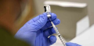 Developing a Covid-Influenza Combination Vaccine: Pfizer and BioNTech Face Setback news-16082024-143256