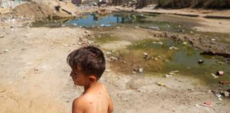 First Polio Case Detected in Gaza, Palestinian Health Ministry Confirms news-17082024-083853