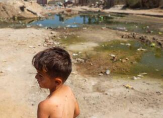 First Polio Case Detected in Gaza, Palestinian Health Ministry Confirms news-17082024-083853