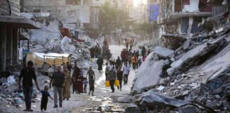 Preventing Polio Outbreak in Gaza: Aid Groups Increase Vaccinations news-17082024-144113