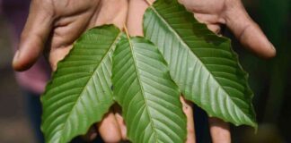 Crackdowns on ‘Gas-Station Heroin’ by States and Cities: What You Need to Know news-18082024-125715