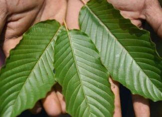 Crackdowns on ‘Gas-Station Heroin’ by States and Cities: What You Need to Know news-18082024-125715