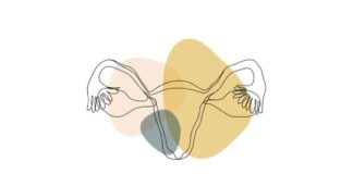 Revolutionary Uterus Transplants: Over 70 Babies Born, Changing Lives news-19082024-010230