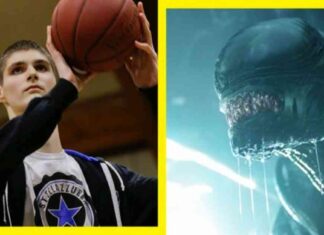 7’7 Basketball Player Becomes Alien Horror in ‘Alien: Romulus’ news-21082024-013854