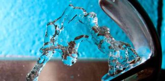 Fluoride Levels Linked to Lower IQ in Children: US Government Report news-22082024-071925