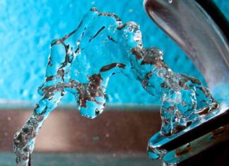 Fluoride Levels Linked to Lower IQ in Children: US Government Report news-22082024-071925