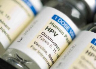 HPV and Male Fertility: Understanding the Impact news-23082024-105348