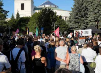 Polish Parliament Lacks Votes to Liberalize Abortion Law, Says Tusk news-24082024-110027