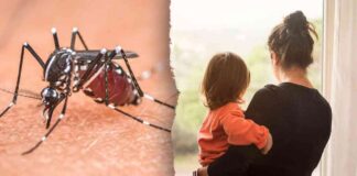 Preventing Mosquito-Borne Disease: Northeastern Towns Enforce Voluntary Lockdowns news-24082024-110312