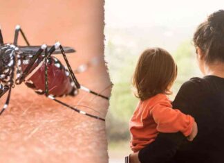 Preventing Mosquito-Borne Disease: Northeastern Towns Enforce Voluntary Lockdowns news-24082024-110312