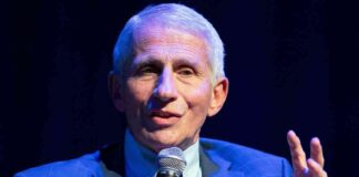 Dr. Fauci Hospitalized with West Nile Virus, Now Recovering at Home news-24082024-230203
