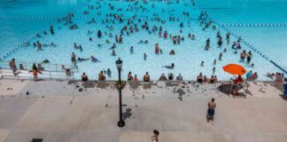 Survey Finds Adults Without College Degrees More Likely to Lack Close Friends news-25082024-230846