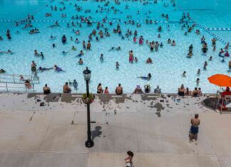 Survey Finds Adults Without College Degrees More Likely to Lack Close Friends news-25082024-230846