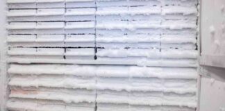 Navigating the Delta Variant Surge: Key DNC Takeaways and Free Covid Testing news-27082024-111841