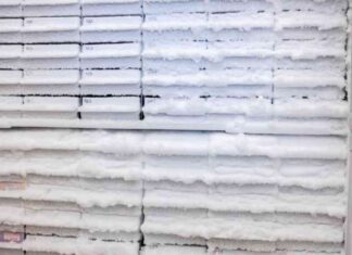 Navigating the Delta Variant Surge: Key DNC Takeaways and Free Covid Testing news-27082024-111841