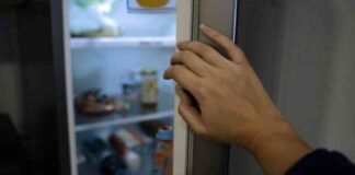 Could Your Diet Be Causing a Rise in UTIs? news-30082024-114025