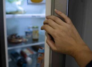 Could Your Diet Be Causing a Rise in UTIs? news-30082024-114025