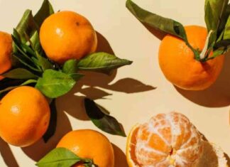 Is the TikTok-Viral Diet Legit? Expert Advice and What You Need to Know news-31082024-114702