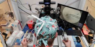 Making In Vitro Fertilization (IVF) Free: Feasibility and Implementation news-31082024-235032