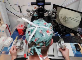 Making In Vitro Fertilization (IVF) Free: Feasibility and Implementation news-31082024-235032