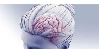 Detecting Brain Aneurysm Increases Anxiety Risk and Mental Health Concerns news-01092024-114910