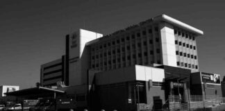 The Fascinating Connection Between Monica from ‘Friends’, RFK Jr., and the Number of ‘r’s in ‘Strawberry’ news-01092024-114938