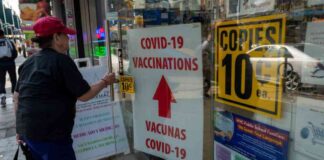 Factors to Consider When Timing Seasonal Vaccines news-04092024-120652