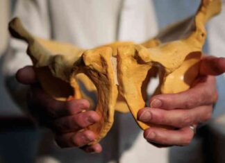 Obesity and Joint Replacement: A Challenging Dilemma news-05092024-001155