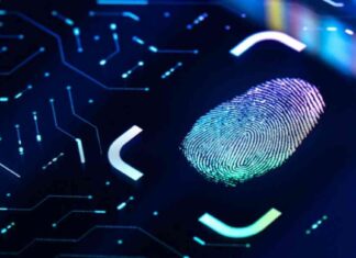 Uncover Health Secrets in Your Sweat: Researchers Share Insights news-10092024-091738