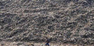 The Rising Methane Pollution Crisis: Causes and Solutions news-10092024-115531