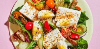 Protein-Rich Food Slows Brain Aging: New Study Findings news-13092024-151617