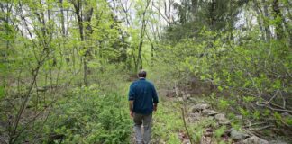 Maintaining Identity: Coping with Alzheimer’s Impact on Intellect news-15092024-070636