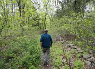 Maintaining Identity: Coping with Alzheimer’s Impact on Intellect news-15092024-070636