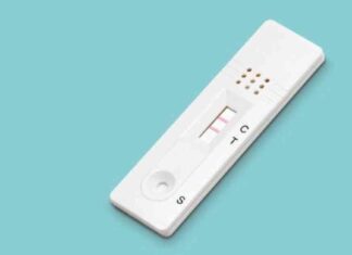 Identifying and Monitoring Symptoms of the XEC Covid Variant in the U.S. news-17092024-155632