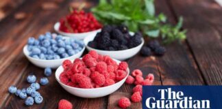 Reducing Dementia Risk with Flavonoid-Rich Foods and Drinks news-18092024-040723